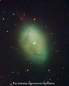 [NGC 1360 image]